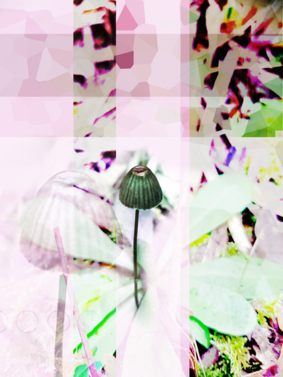 Antique Mushroom