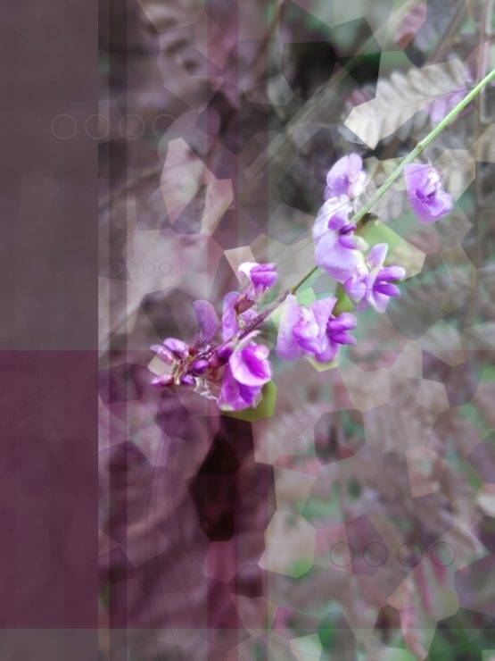 Floral Feature