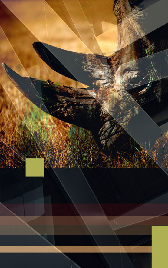 Rhino Dark